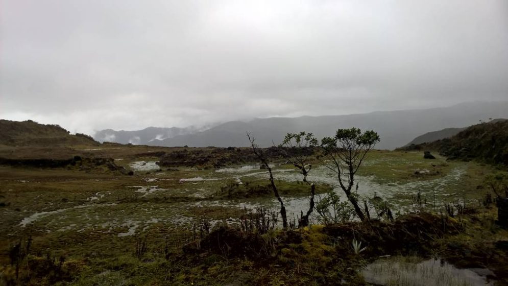 Chingaza National Park near Bogotá. A vital source of fresh water for the city. Photo: Ana Faggi