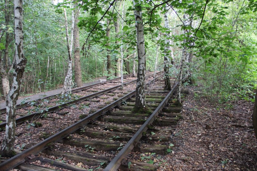 Park SĂŒdgelĂ€nde in Berlin is one of the most famous examples of including vegetation on abandoned railways in a public park. Photo Maria Ignatieva