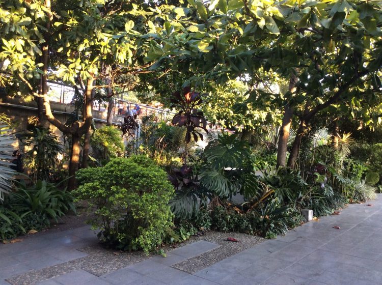 Figure 4. En Medellín