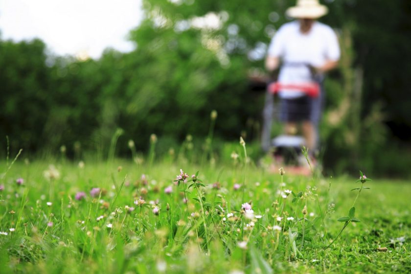 Hall_Mowing a Lawn
