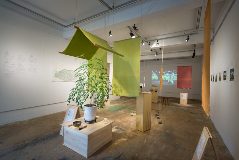 A picture of an art installation with sheets of green cloth hanging from the ceiling as a tent with a plant on a table beneath