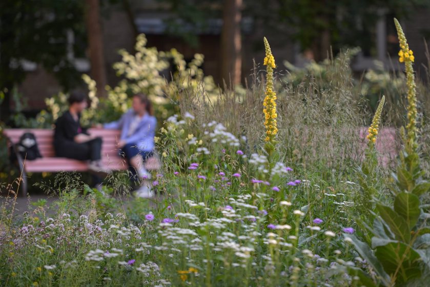 A couple of people sitting on a bench in a garden with flowers