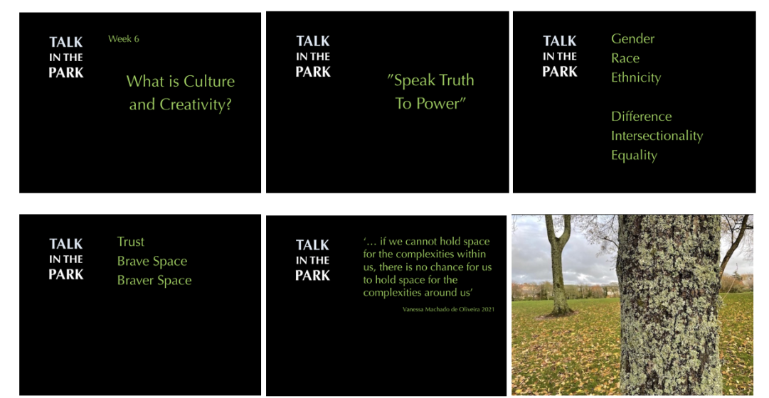 Several screenshots of a powerpoint presentation with pictures of trees in a field