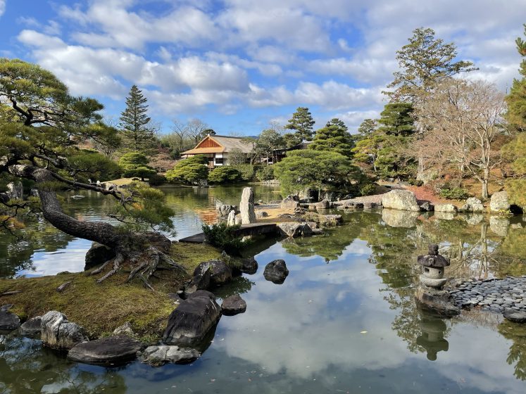 A body of water surrounded by trees and large rocks