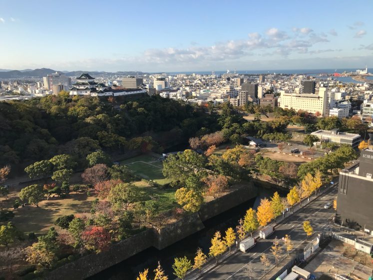 A city with trees and a road and a castle in the distance