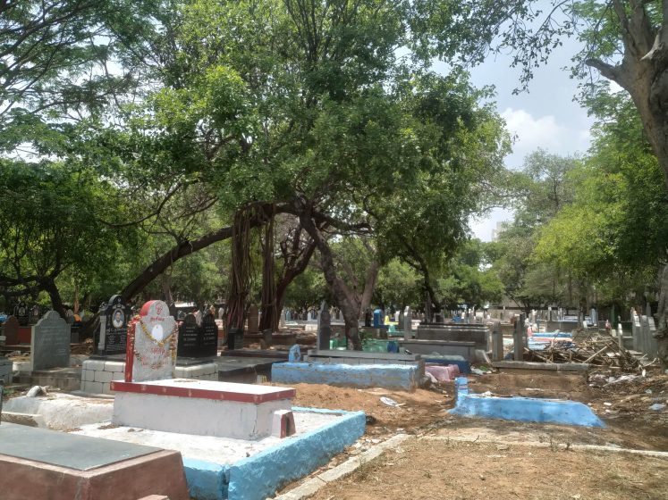A cemetery with trees and a blue sky