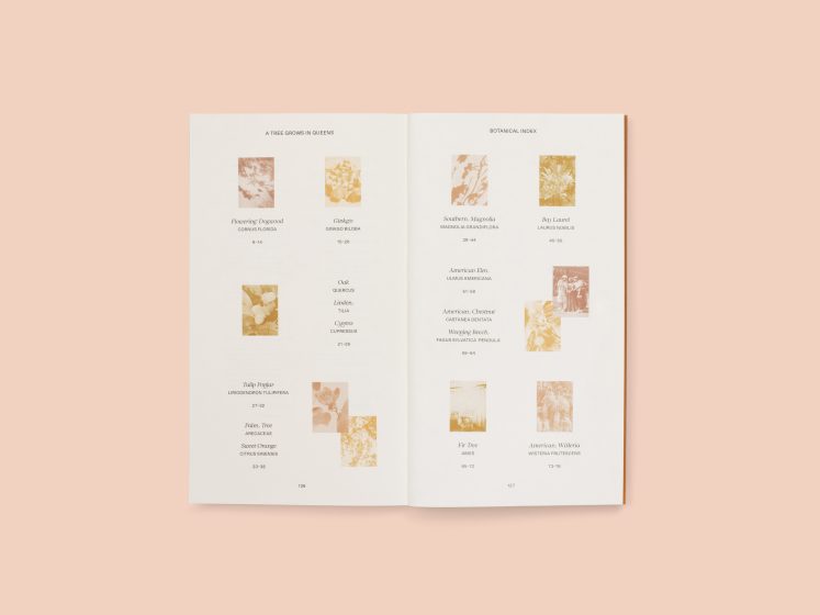An open book with multiple tiny photos