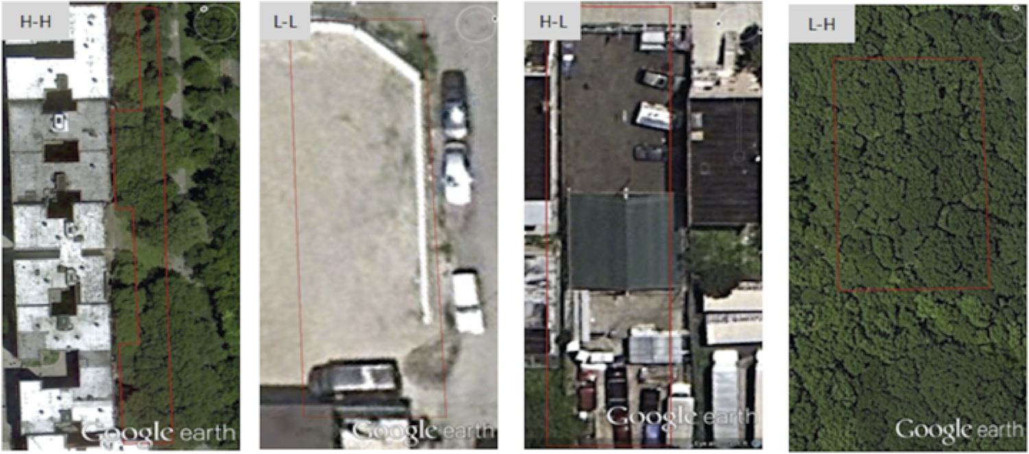 Vacant Land in Cities Could Provide Important Social and Ecological Benefits