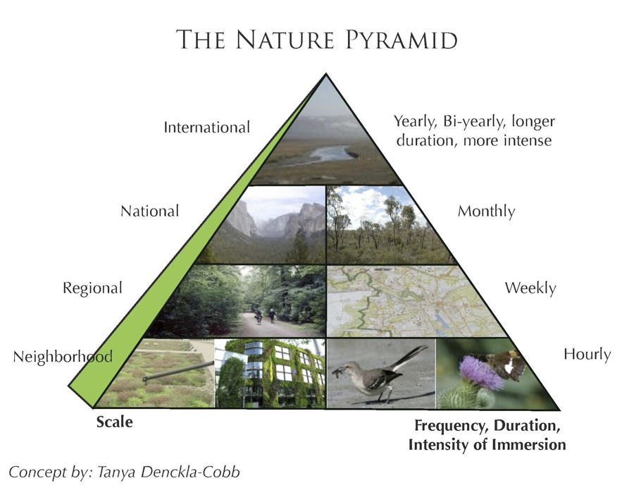 TNOC Encore: Exploring the Nature Pyramid
