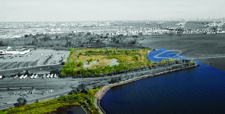 Designing Integrated Ecologies: Real Estate, Ecosystems, and Everyday Perception