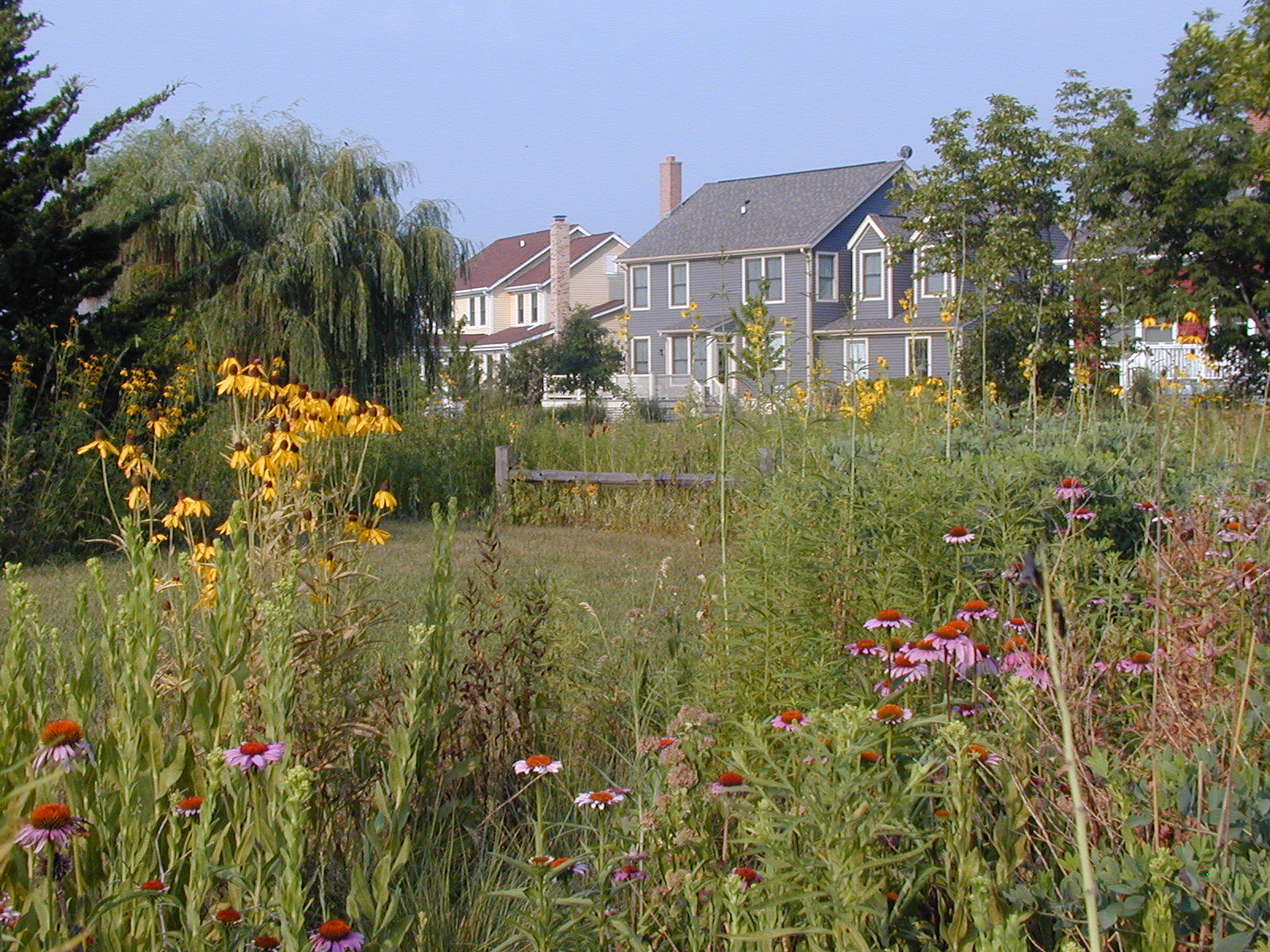 The Green Leap: Can We Construct Urban Communities that Conserve Biodiversity?