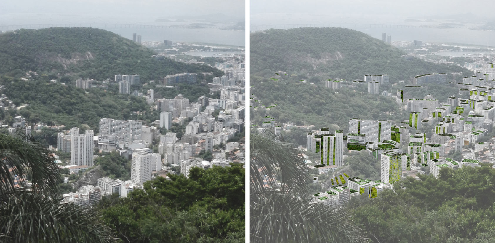 Putting Nature Back Into the Natural Beauty of Rio de Janeiro