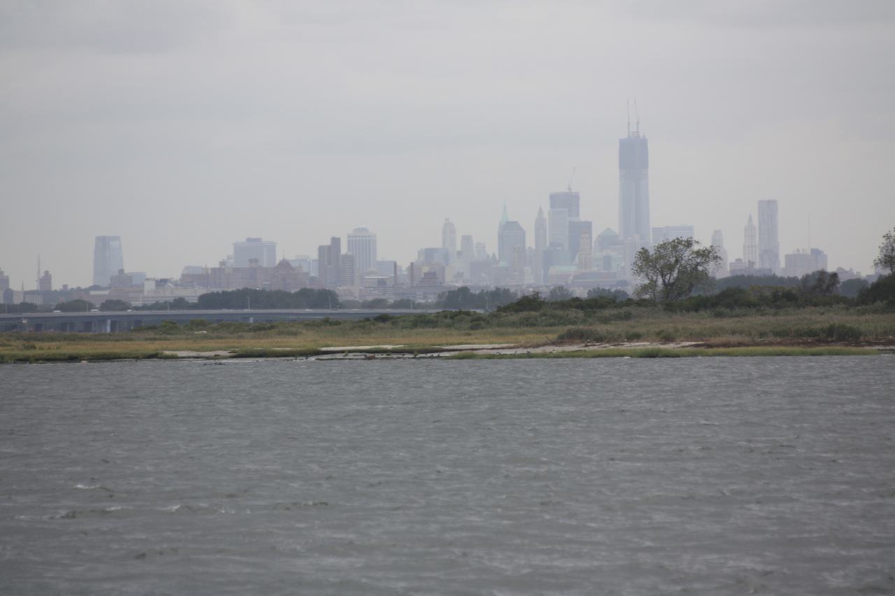 The Strategy of Sanderlings and the Tactics of Terrapins: What Was Hurricane Sandy Trying to Tell New York City?