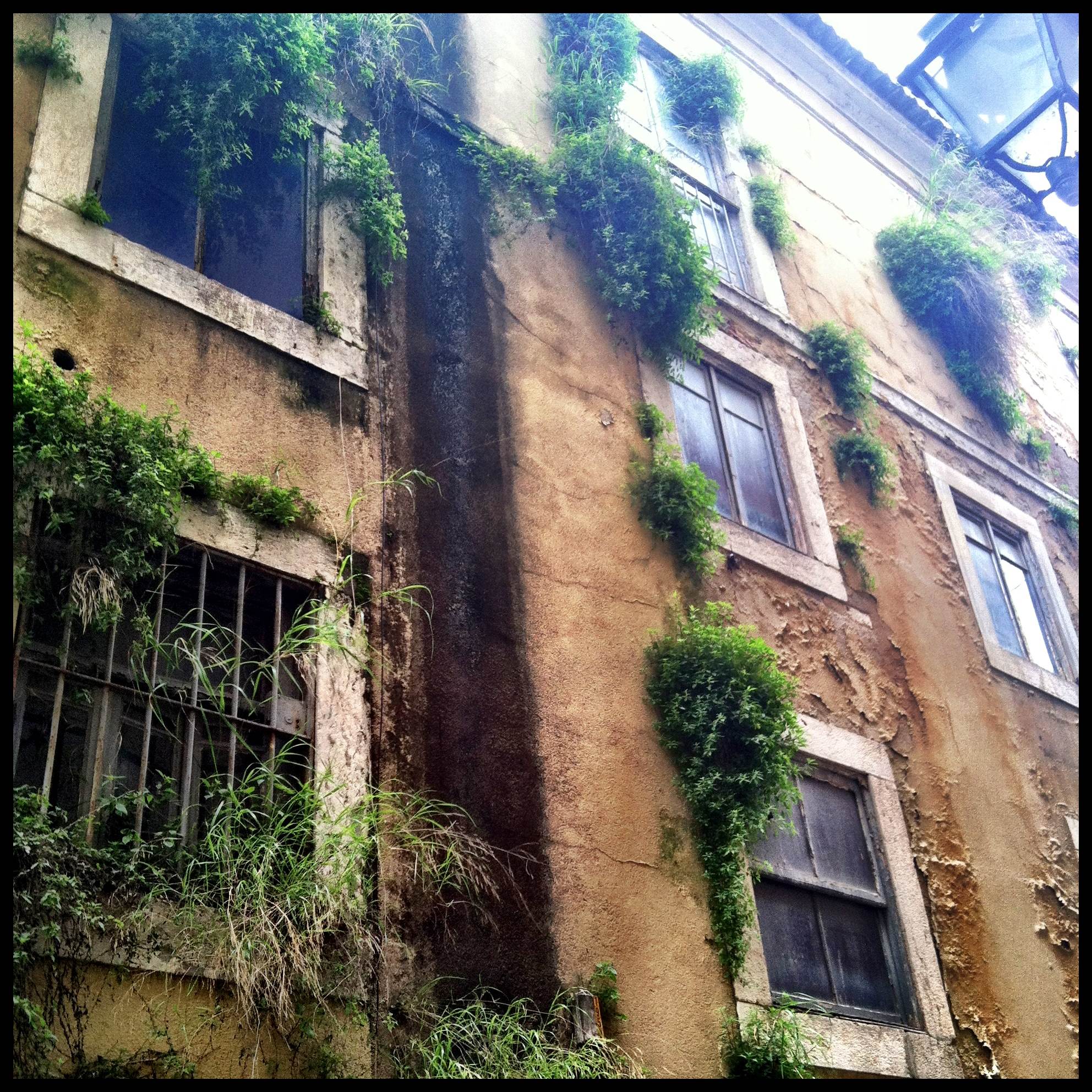 From Banlieue to Biophilia: Thinking About Nature as a Basis for Urban Design