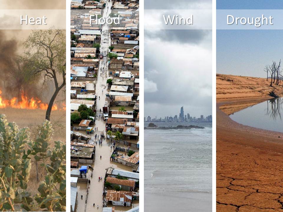 Planning Under Uncertainty: Regime Shifts, Resilience, and Innovation in Urban Ecosystems