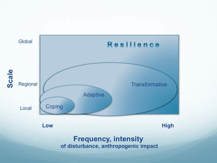 Urban Sustainability and Resilience—Why We Need to Focus on Scales