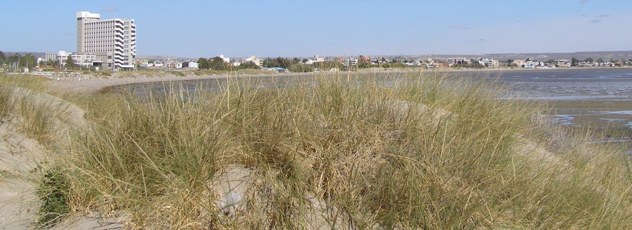 Vegetation Changes Associated with Coastal Tourist Urbanization