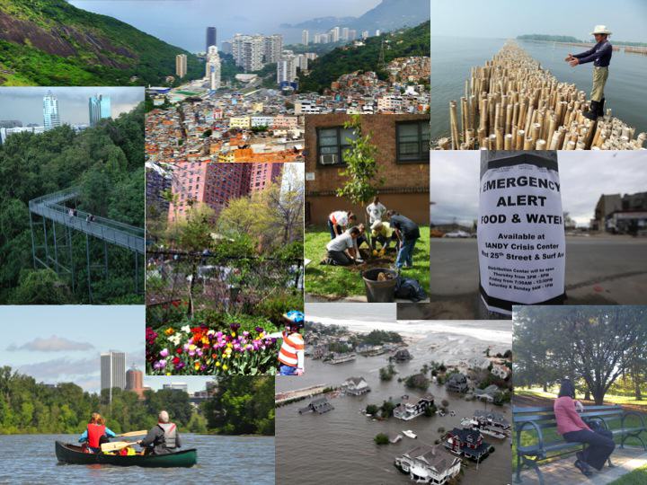 The Cities We Want: Resilient, Sustainable, and Livable