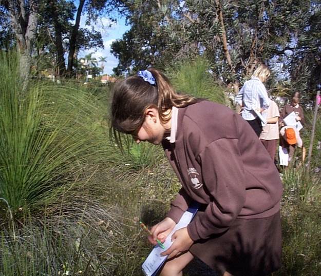 Naming and Claiming in Cities of Nature—Why We Should Worry About Our Inability to Recognize Common Species