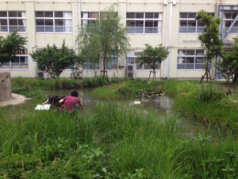 Stories of the Nature of Cities 1/2 Hour. Episode 1—Biodiversity