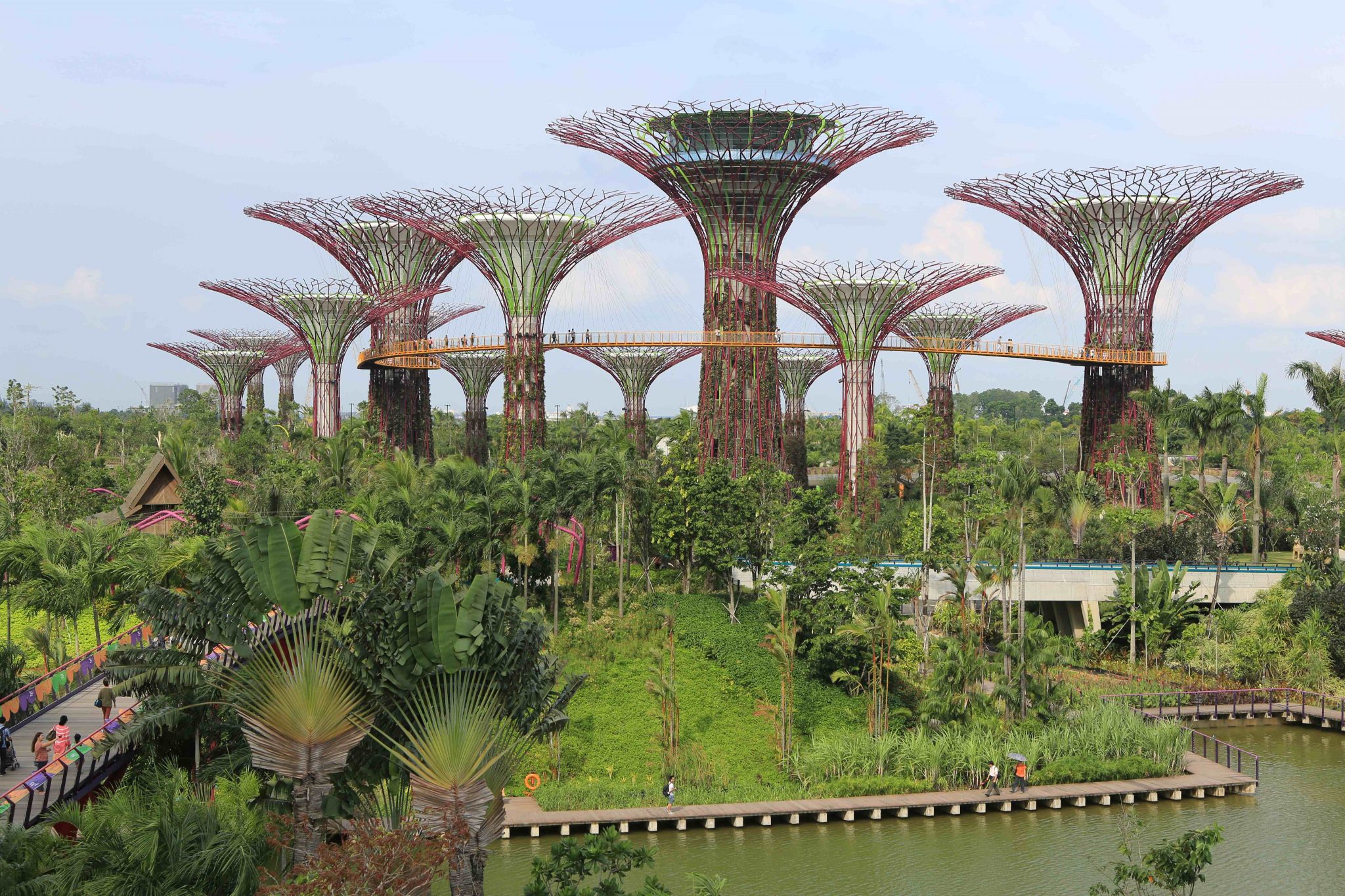 The Urban-Nature Continuum: Different ‘Natures’, Different Goals