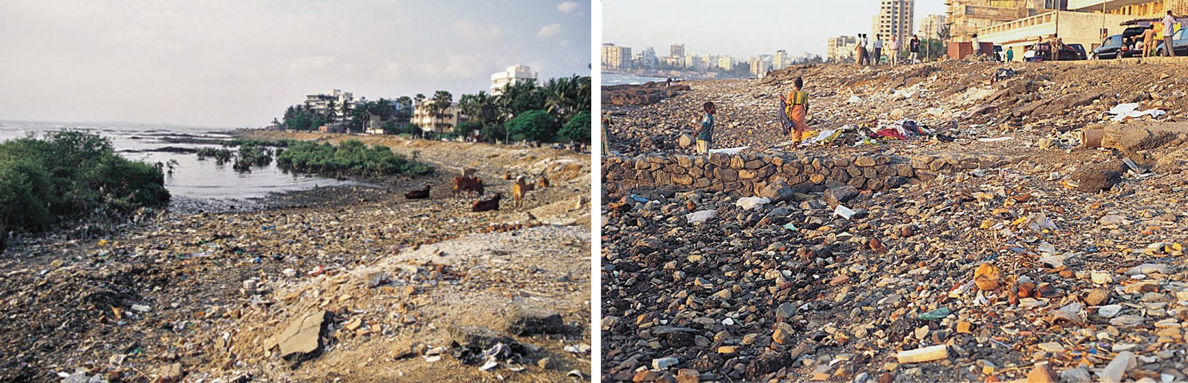 Ecology Rights and City Development Plans: The Case of Mumbai