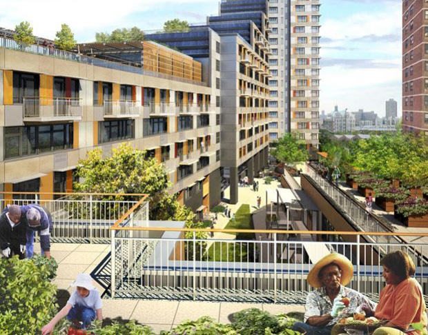 The sky is the limit for urban agriculture. Or is it? What can cities hope to get from community gardens and urban agriculture?