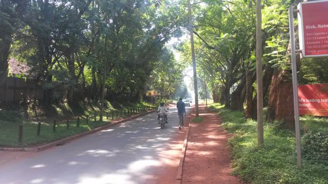 Weaving Nature for Biodiversity Enhancement in African Urban Landscapes
