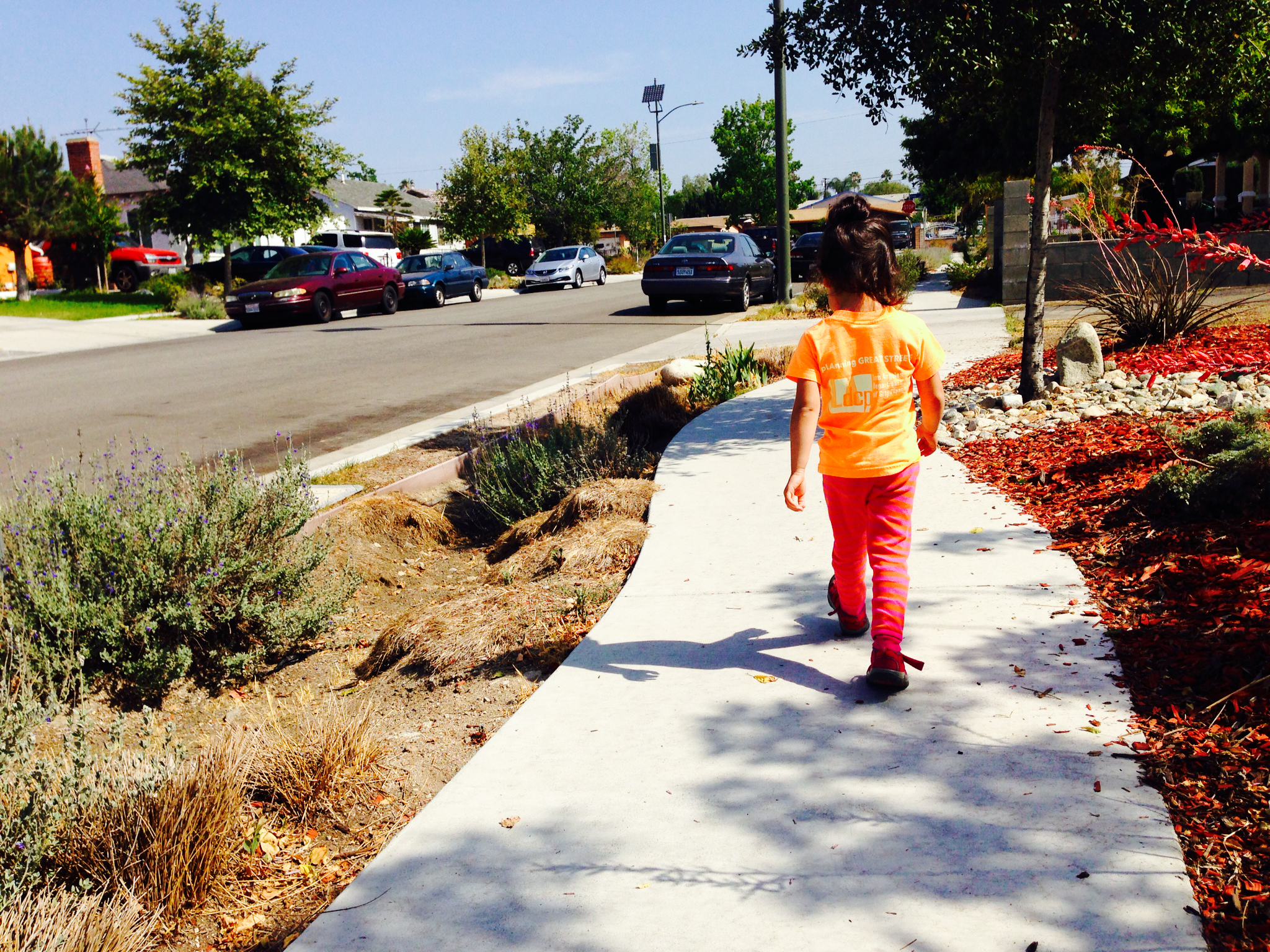 Environmental education in cities focuses on youth and community development, restoring ecosystems, building green infrastructure, and more. But is urban environmental education really anything new? What should its goals and practices look like?