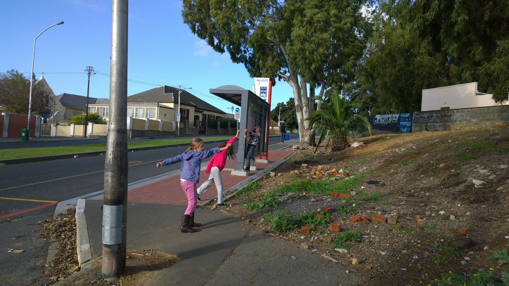 Driving Social and Ecological Change: My Experiment with Guerilla Gardening