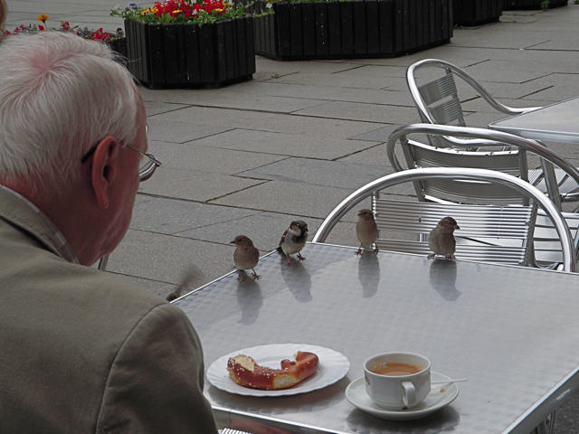 The Rhythms of City Life