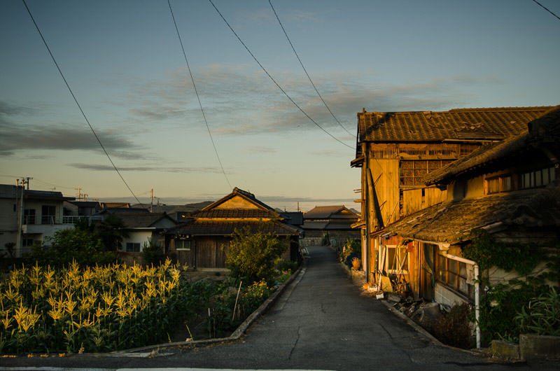 Lessons from Megijima: What Can the Loss of Culture Teach Us About Urban Nature?