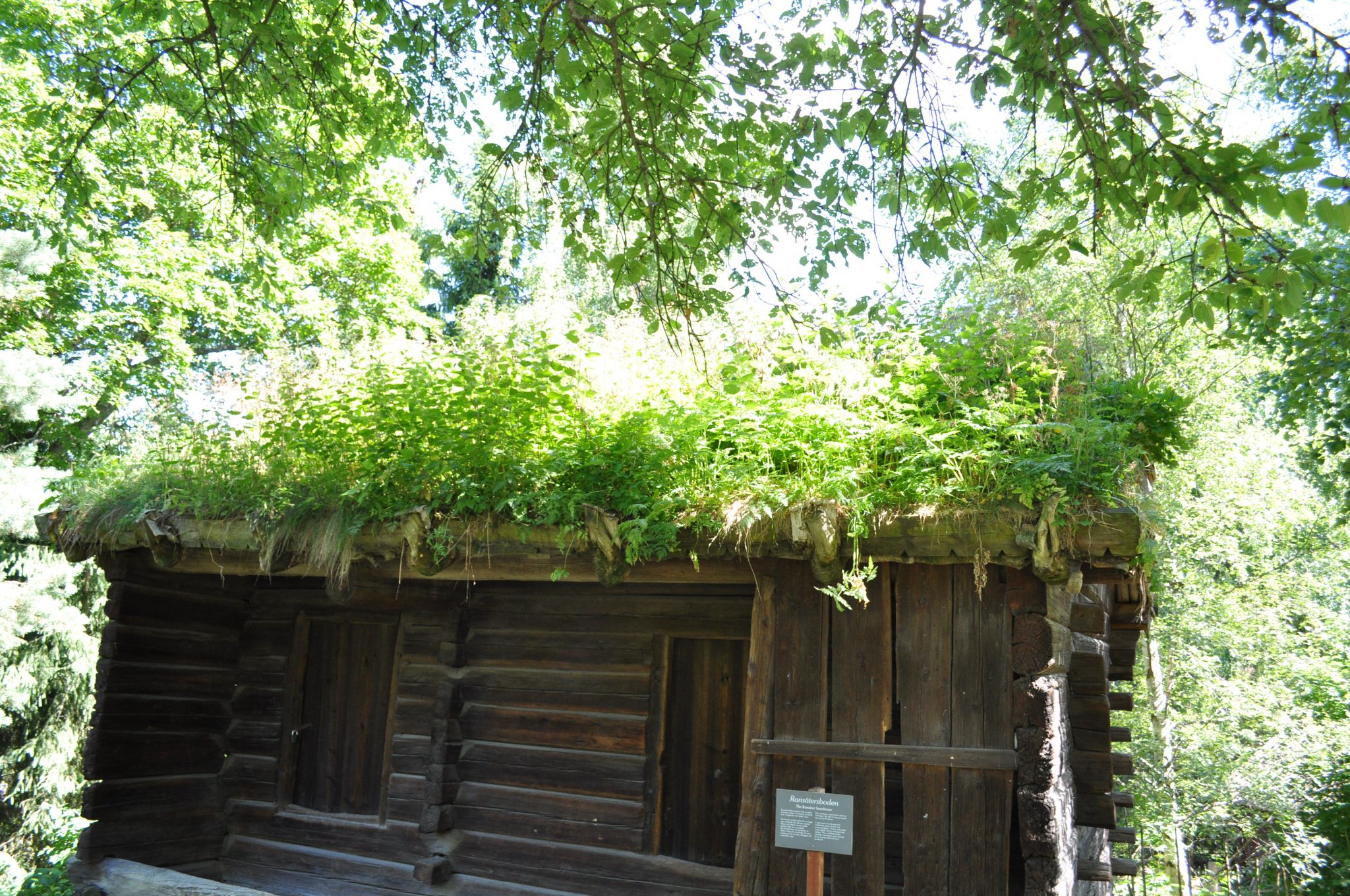 The New Is Well Forgotten Old: Scandinavian Vernacular Experience on Biodiverse Green Roofs