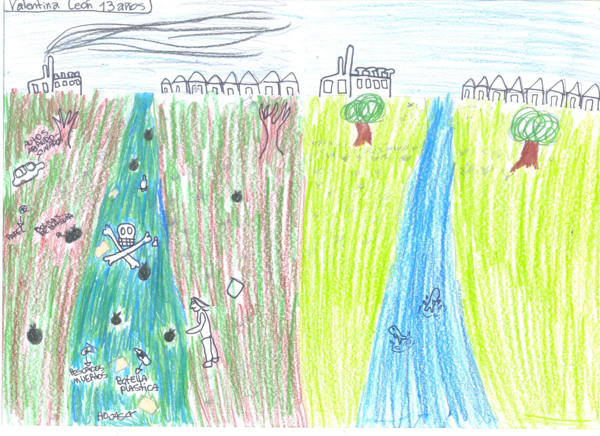 We Should Look at Urban Nature More Through the Eyes of Children 