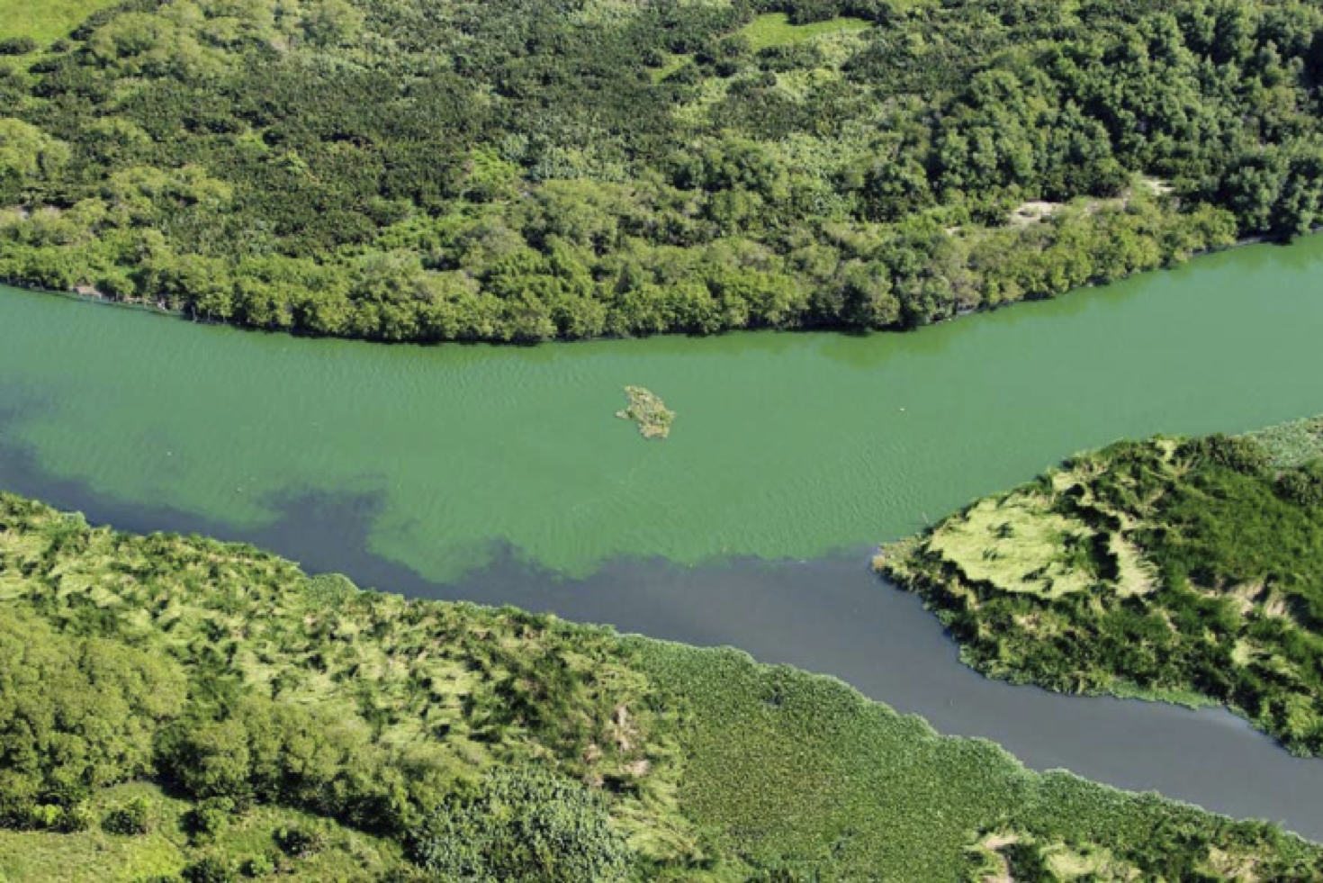 A Natural Offset for the Rio 2016 Olympic Park