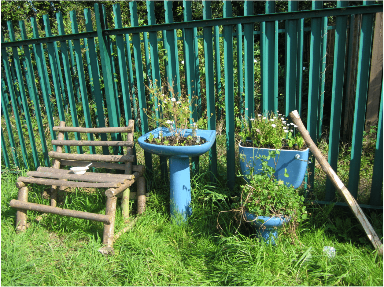 Inviting You to Collaborate with Nature to Transform Your City