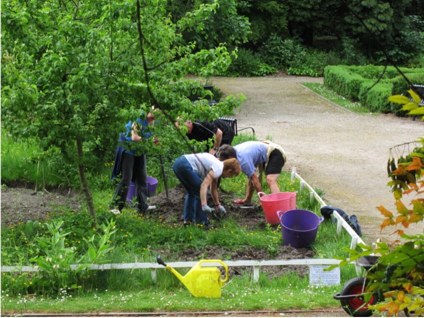 To Grow a Garden, Invest in Organizing