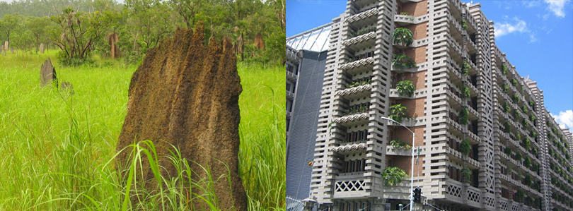 Building Ecological Services: Restoring the Ecosystem Services of the Habitats We Are Replacing with Human Development