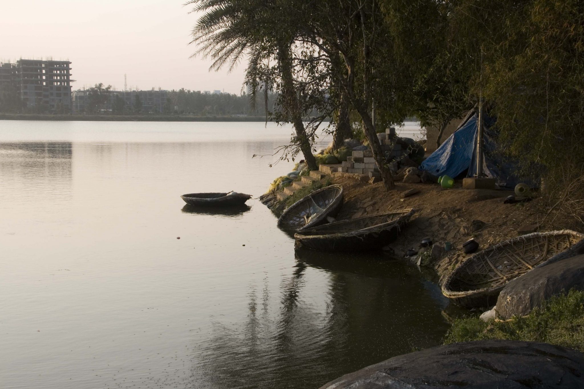How can different ways of knowing—and of producing knowledge—be useful for understanding and managing urban ecosystems?