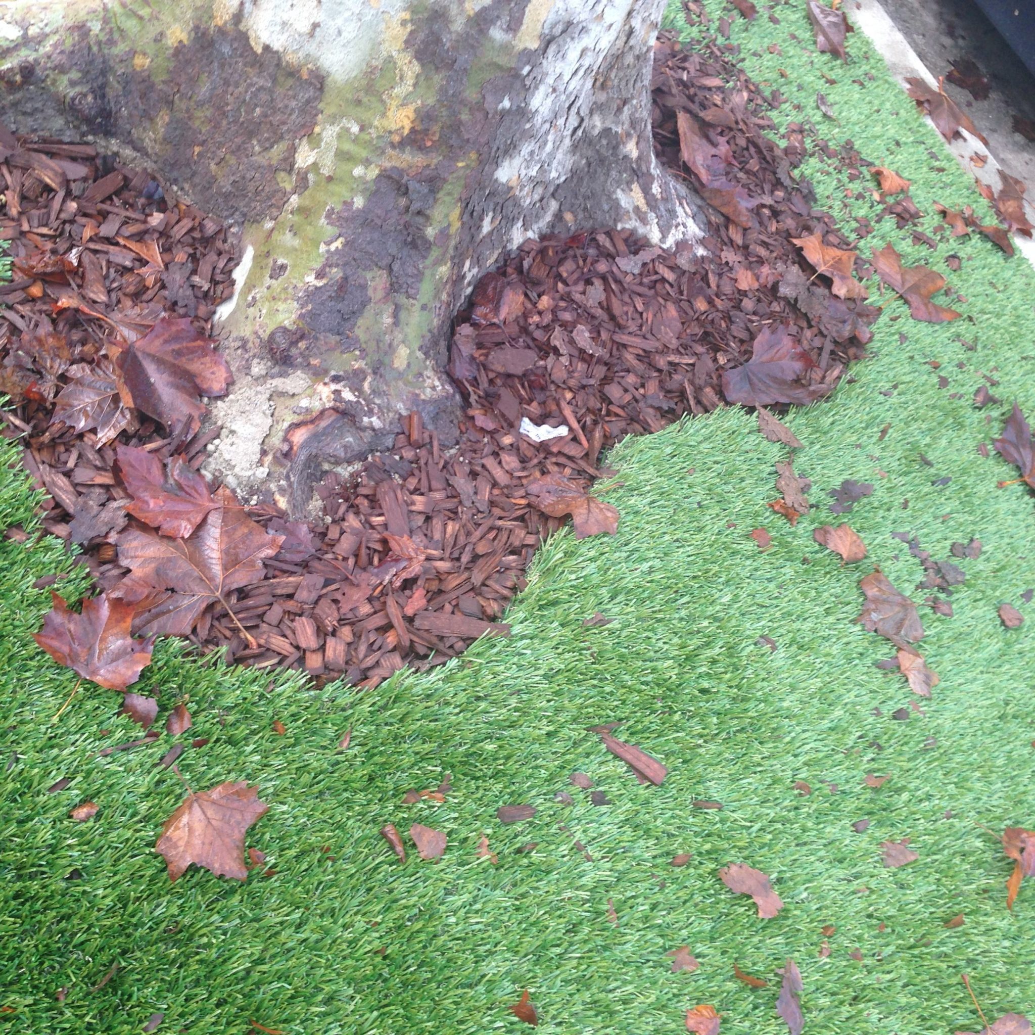 Magical Thinking in the Age of Green