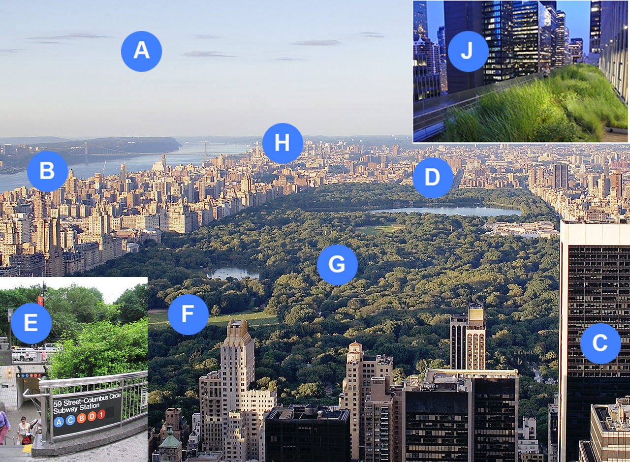 Invisible City Life: The Urban Microbiome