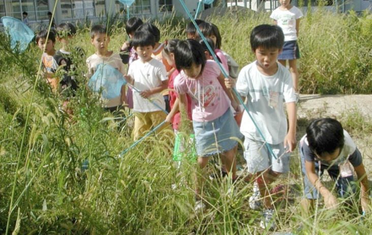 “Growing Place” Revisited: After 12 Years, Children’s Activity in the School Biotope Project