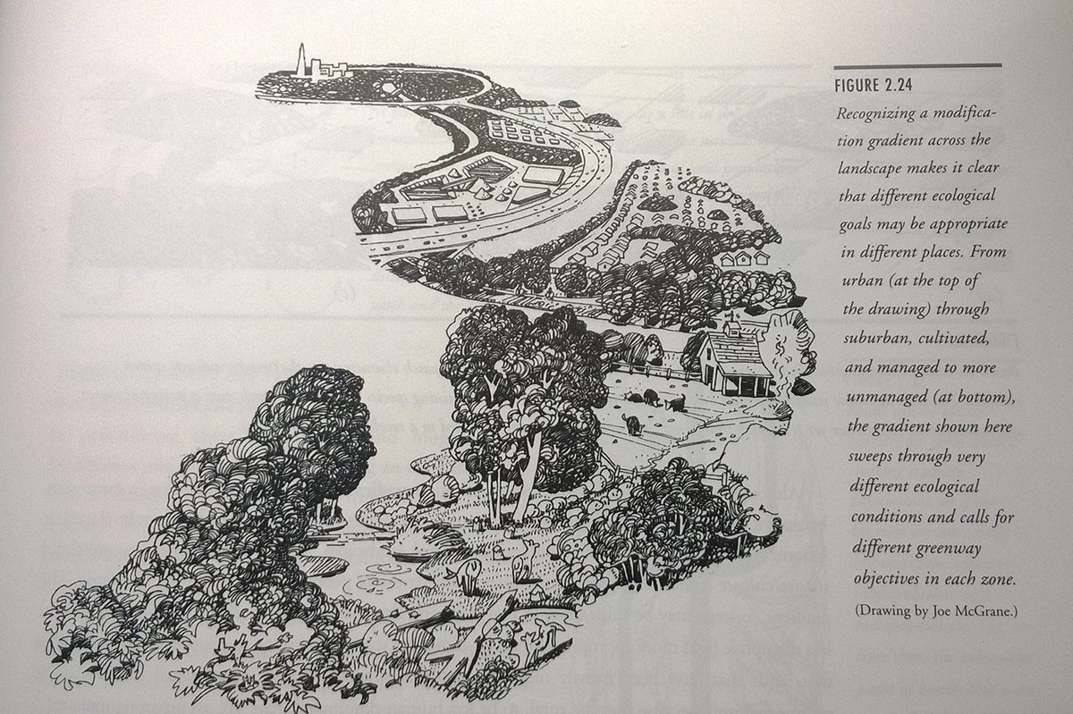 Practical Advice for the Design of Greenways