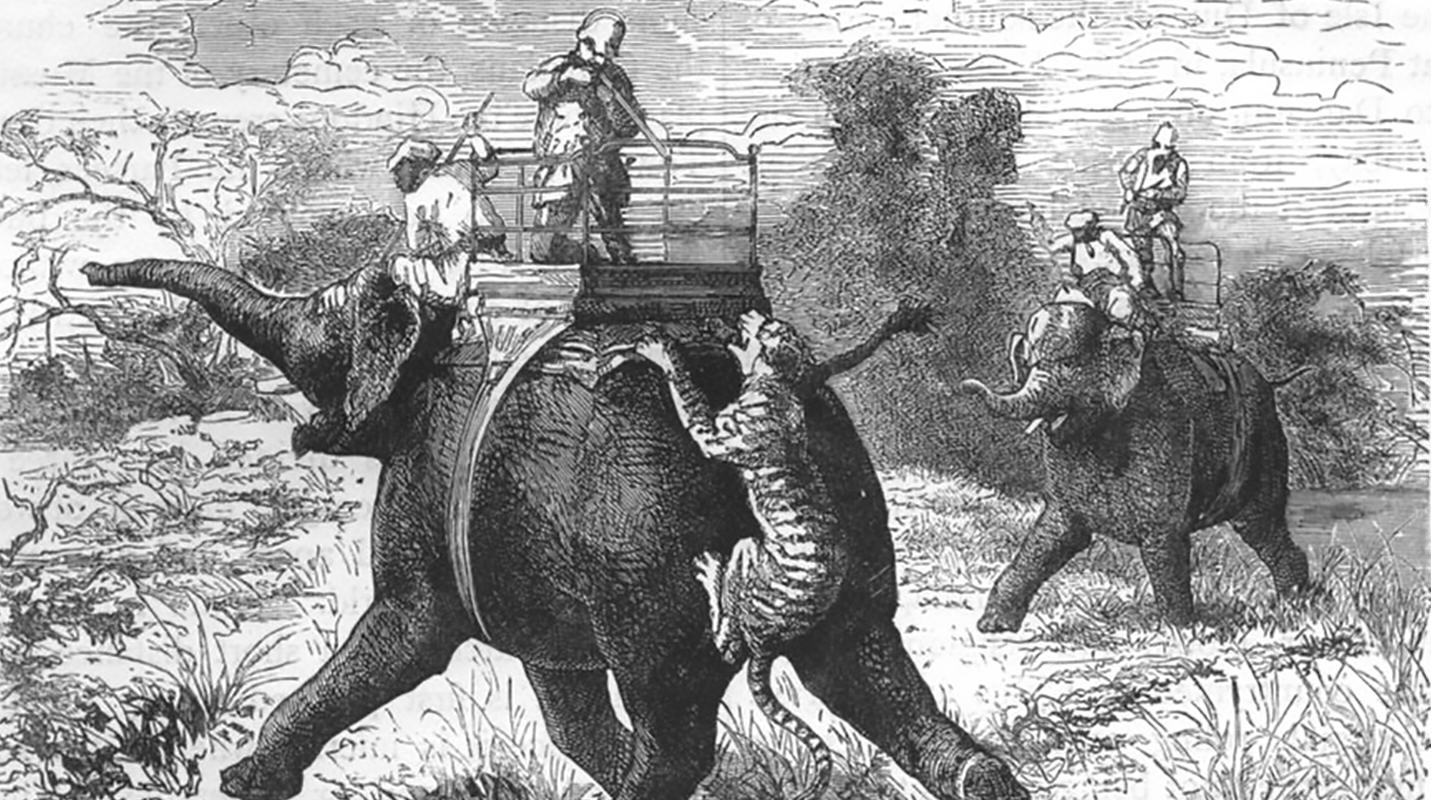 The Wild Beast as the Other: Framing of Urban Wildlife in Popular Imagination