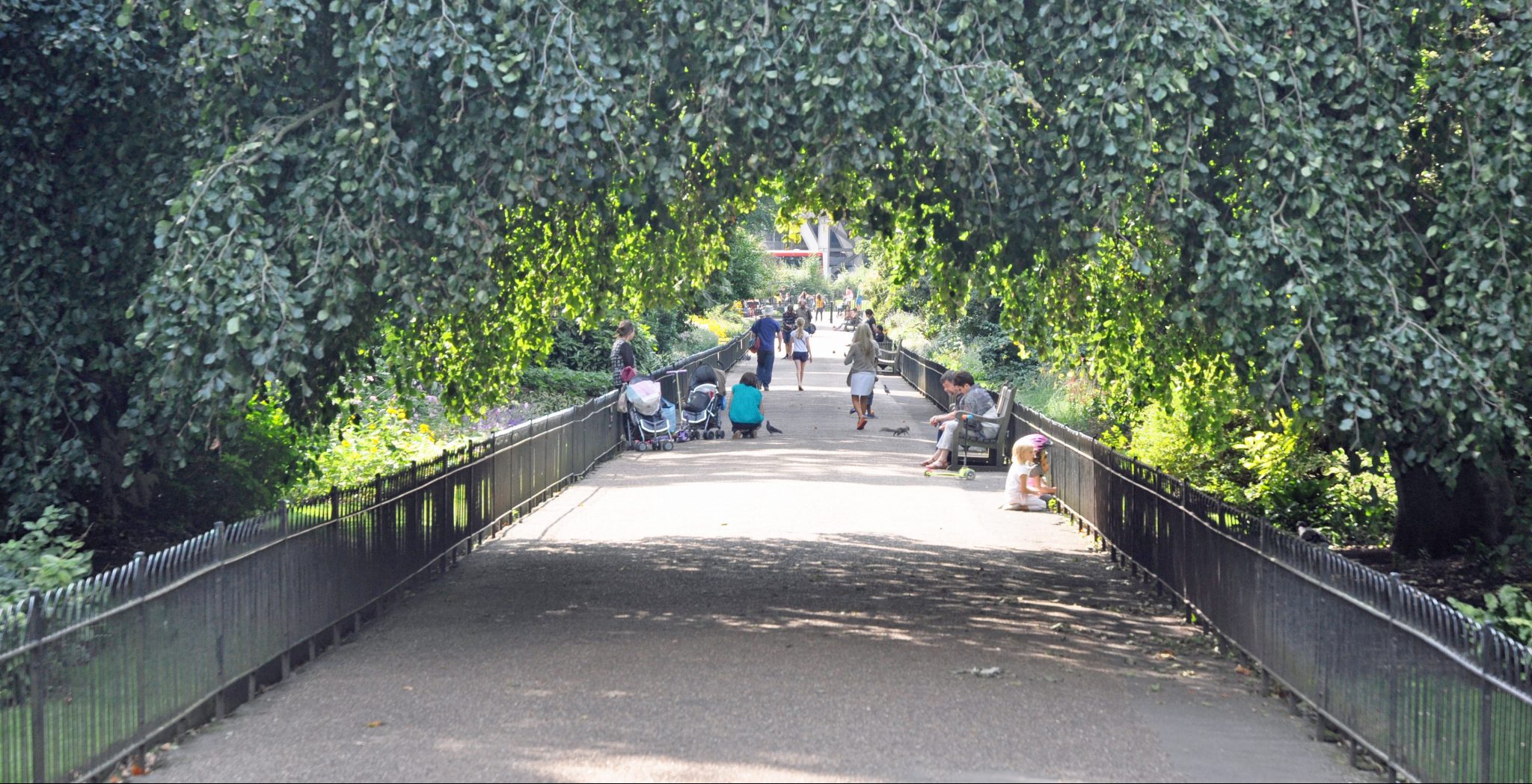 Lessons from Britain’s Urban Nature Movement