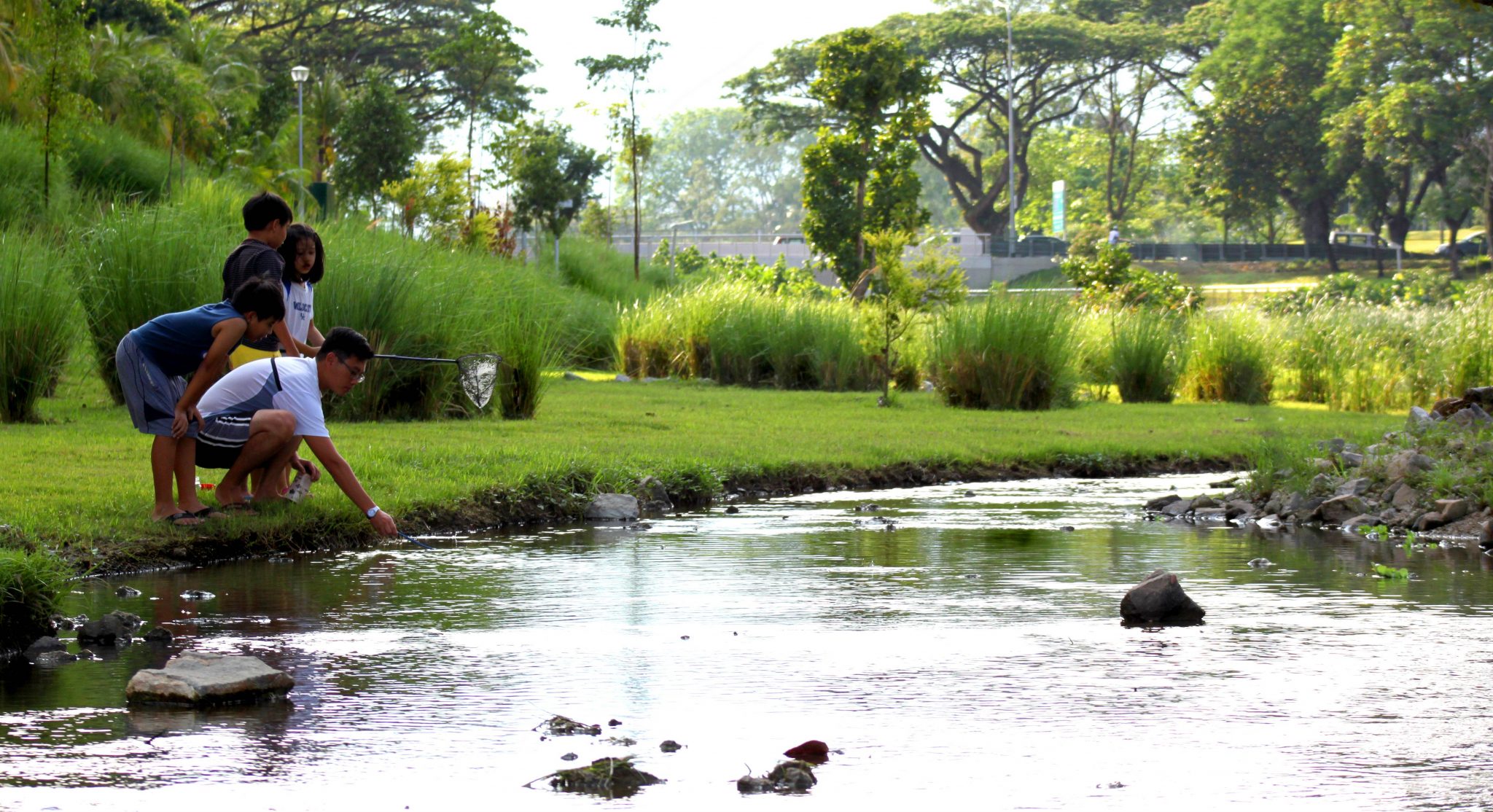 Daylighting and restoring urban streams, ponds and wetlands can provide huge ecological and social benefits. Are such restorations “worth it”? What are the pitfalls? How can we demonstrate these benefits and elevate them in the public discourse so that urban wetlands become urban planning priorities?