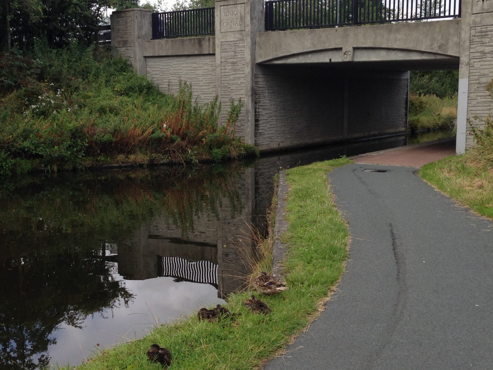 Green Transport Routes Are Social-Cultural-Ecological Corridors