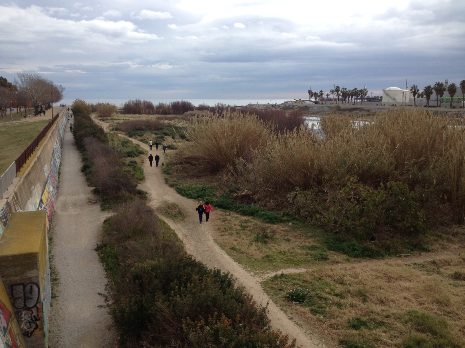 A Tech Touch: Connecting Beaches, Parks, and Big Data
