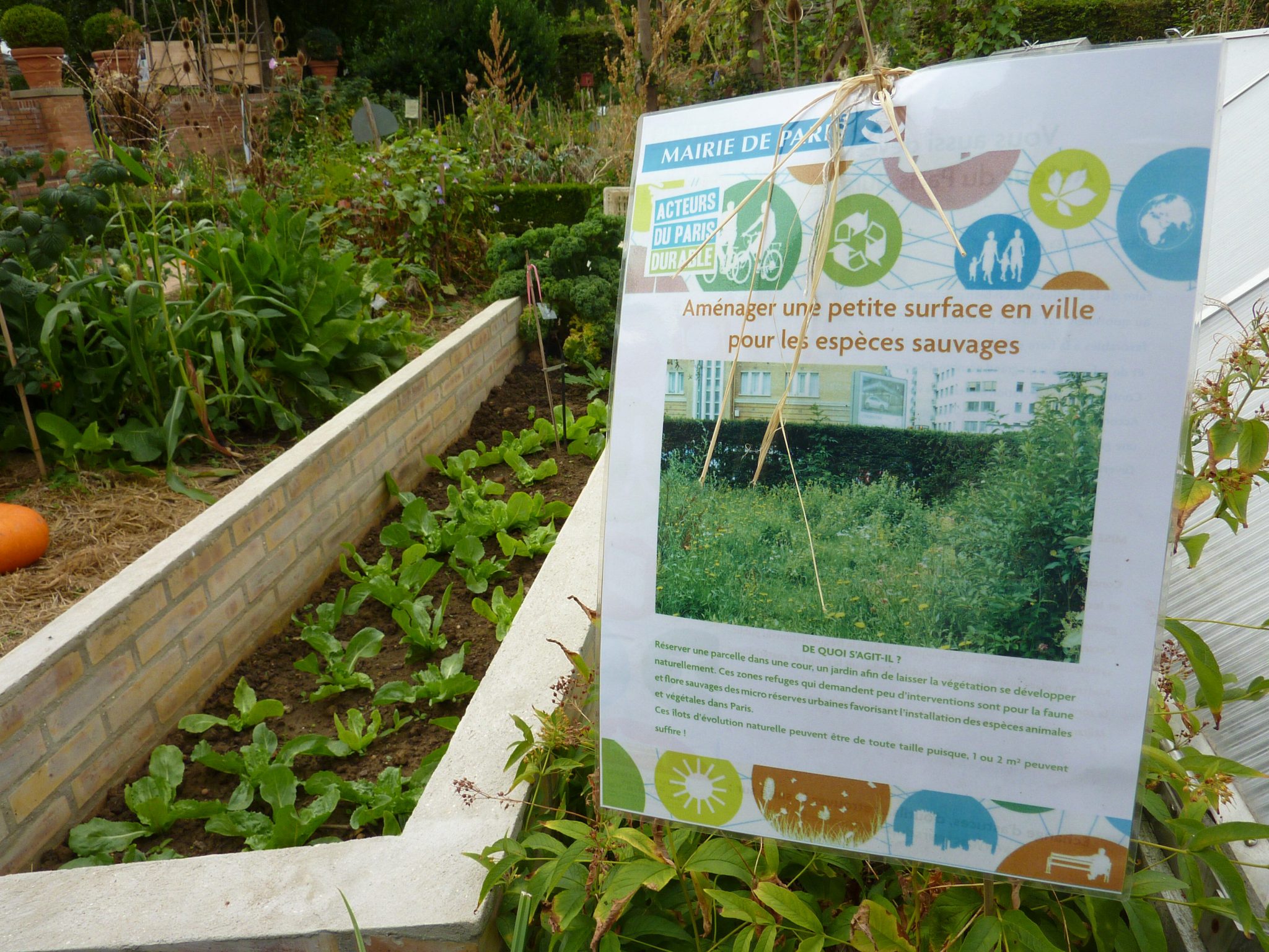 What Is Civic Ecology? 25 Definitions. TNOC Podcast Episode 004