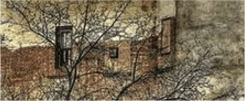 Nature, New York, and the Practice of Paying Attention
